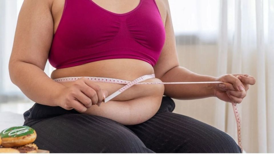 ������ ���: ����������� ������� � ���� ������� � �������������