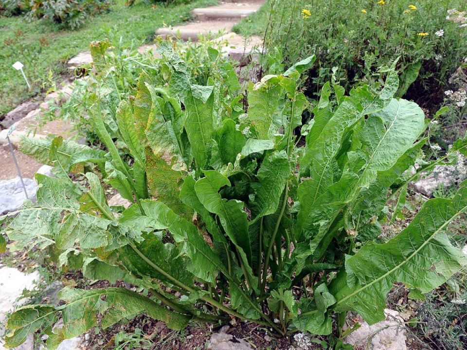 ��� �������� ����: ������� ������ ��� �����������