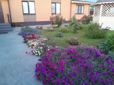 ����� ����� ������� �����������: ������ �� ����� �� �����