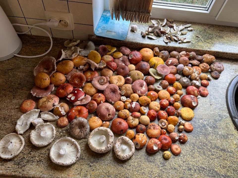 �������� ��������: ����� �� ������� � ���������� �����