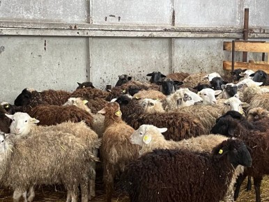 ��� ��������� ���� ����� � ������� ������������?