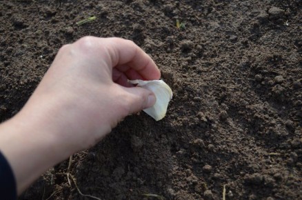 ��� ������, ���� �� ������ �������� ������ ������ ����� �����������?