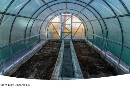 ��� ���������� ����������� ������� � �������� ��������