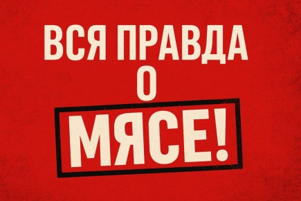 ���� ��� ��������: ��������� �������, ������� ������ �� �����, ����� �� �����