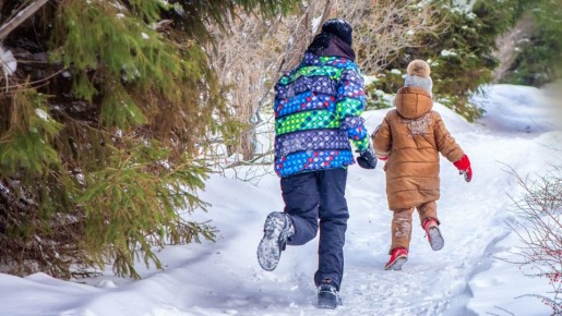 ��������� ���� �� �������� ��������� �������� �������: ��������� � ������ �����