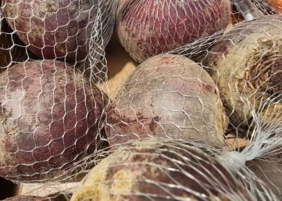 5 ��������� ������ ���� ������: ����� �� ���������, ����� �������� ��������