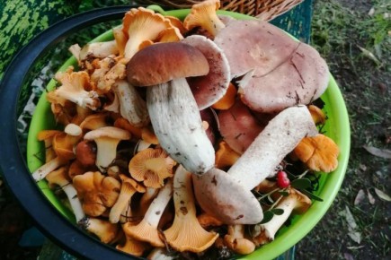 ������ ���, ��� ���� ����� ������: ��� ������ � ������������� ������ ��������� ������ ������