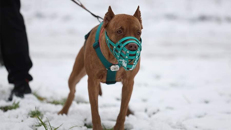 � ������� ������� �������� ���������� ��� � ������� ���������� ��������