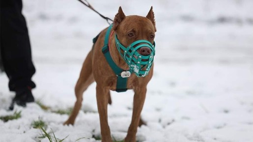 � ������� ������� �������� ���������� ��� � ������� ���������� ��������