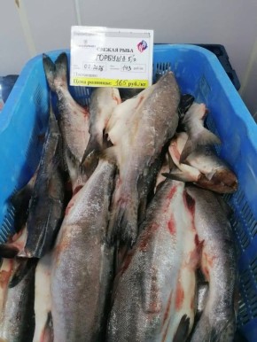 ������� �� ����������� ����: ������� ������!