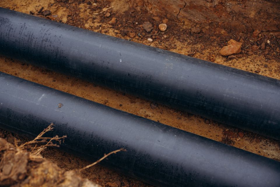 ��� ������������� ��������� �����������: ������� ������ ��� ������������