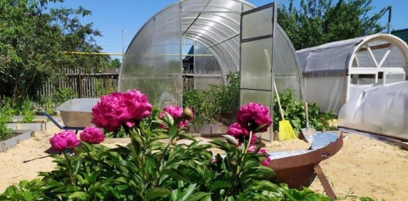 ��� ����������� ������� � ����� ����� ��������� ������� ��������������