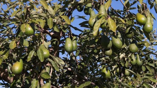 �������� �������: ������������ ������� ����������, � ������� �� �� �����������