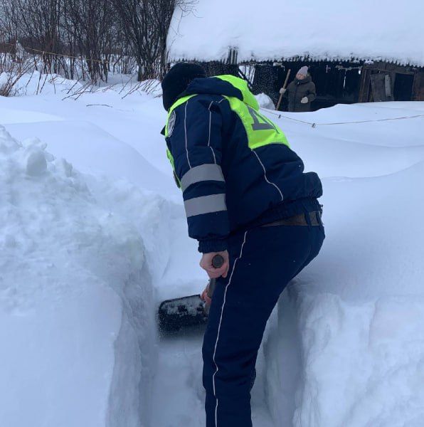 ������� ����������� ��������� �� ����, ���������������� ������, ������������� � ���������� � �������