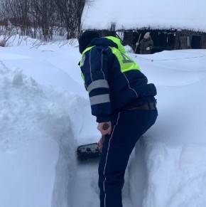 ������� ����������� ��������� �� ����, ���������������� ������, ������������� � ���������� � �������