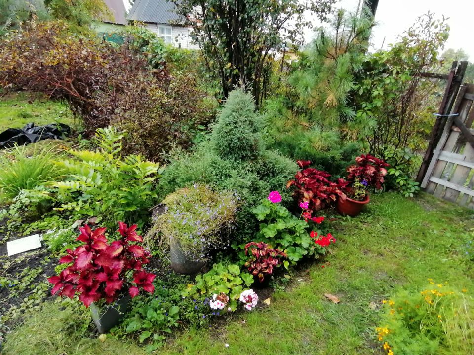 ��� ������� ��������� �������: ������ �� ������������ ������ �� ����