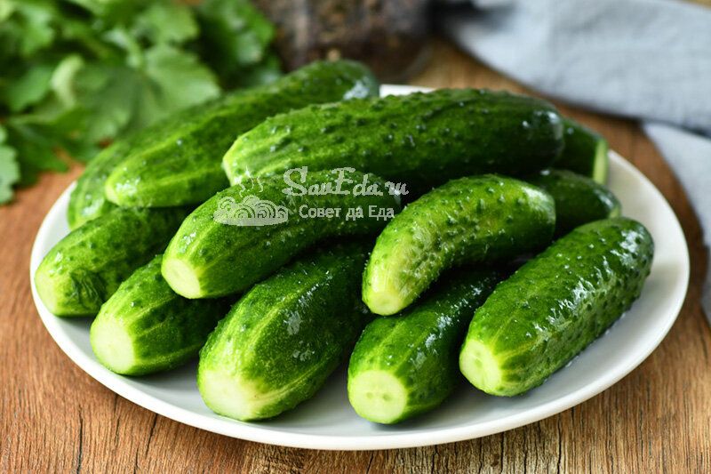 ��������������� ����: ��� ������� ��������� ����������� ������ ��� ����� �������