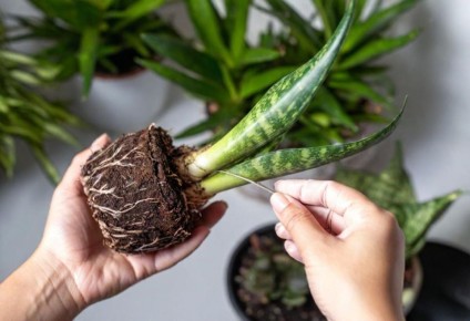 ��������, ������� �������� ��� ��� ������ � ���������