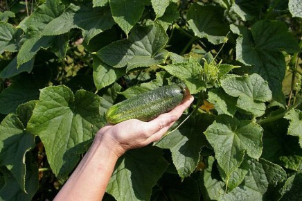 ������ ������ �� ������ �������: 5 �������� ��� ��������� ������