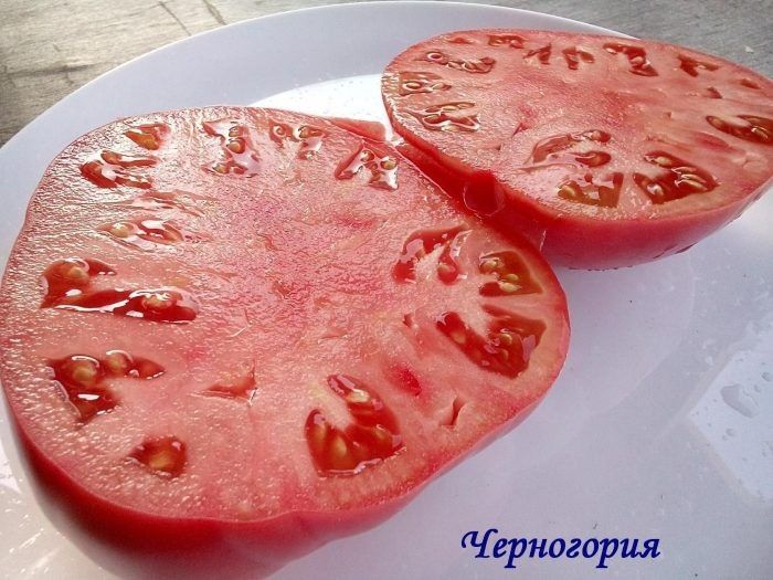 ����� ����������: ���������� ���� � �������� ������� � ���������� ������