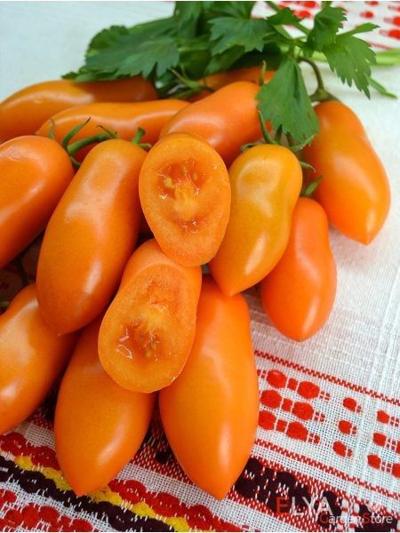 ����� ��������� ��������: ����� ���������� � ����� ����������