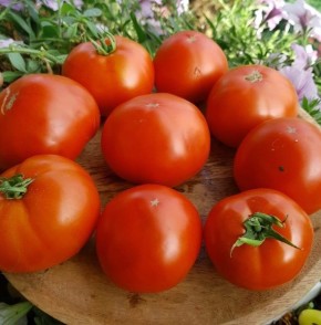 ����� ���� ���: ��� � ���������� ��� ������������ ���������