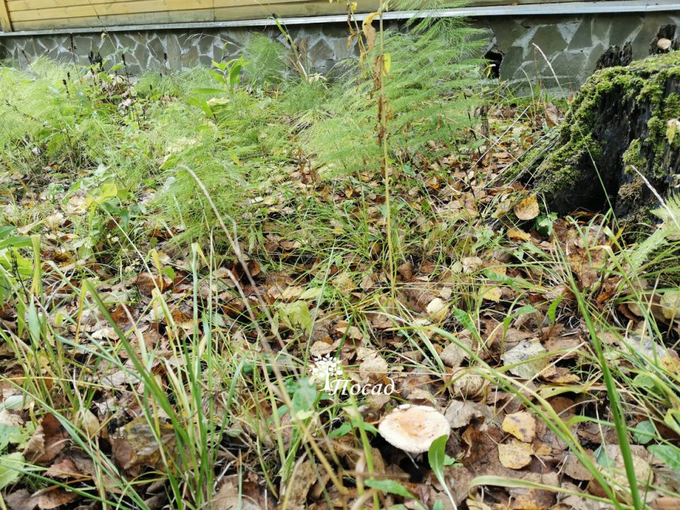 ������� ��������� ��������� ������ ������ �� ����: �������� ������!