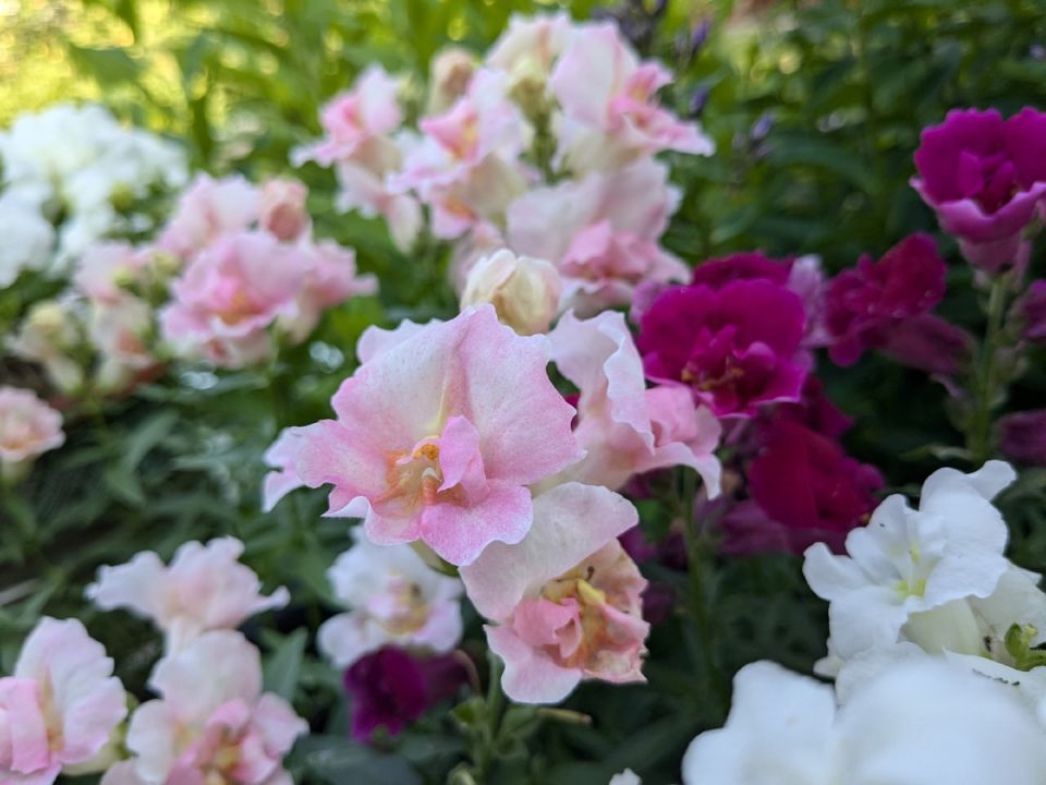 ��������� �������� � ��������� ���������� ���� � ����� ����