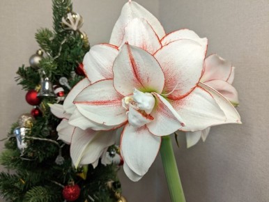 �����������: ��� ������ ����� ���������� ��� � �����