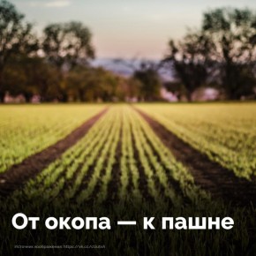 �������� ��� ������� ����� ����� ����� �� ������ ���������