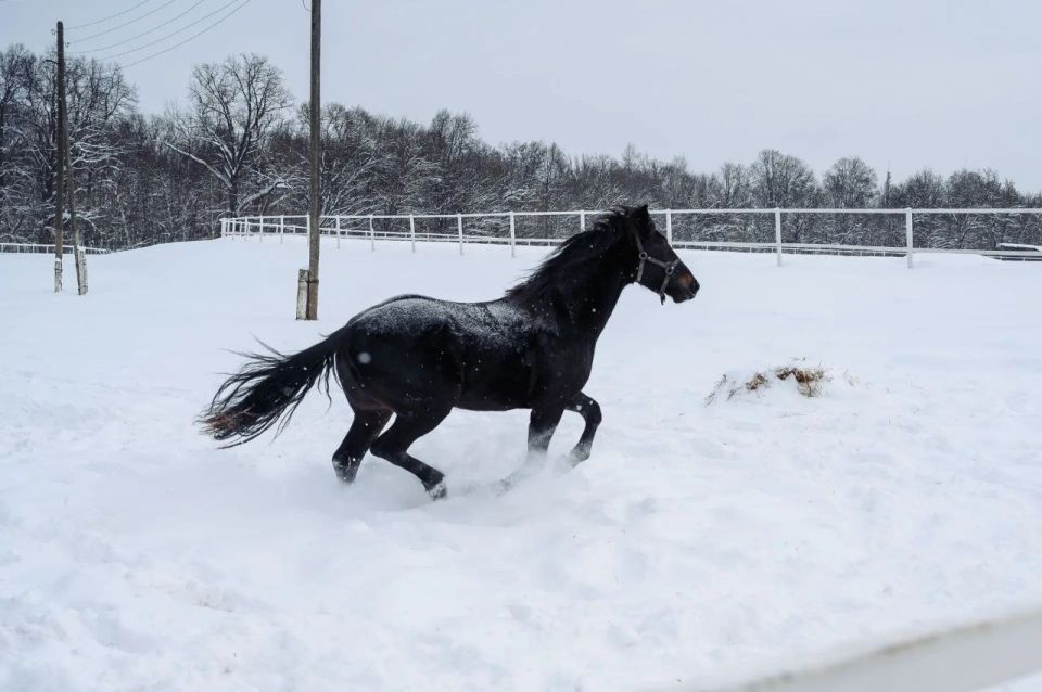 ��� �������� ������ ���������!