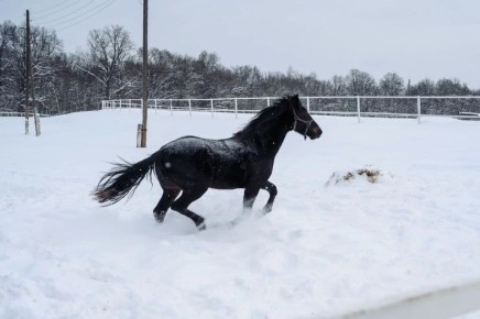 ��� �������� ������ ���������!