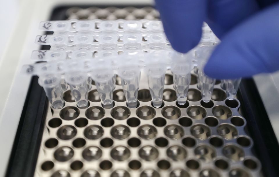 ������� ���������� ������� ������������ ������ �������