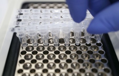 ������� ���������� ������� ������������ ������ �������