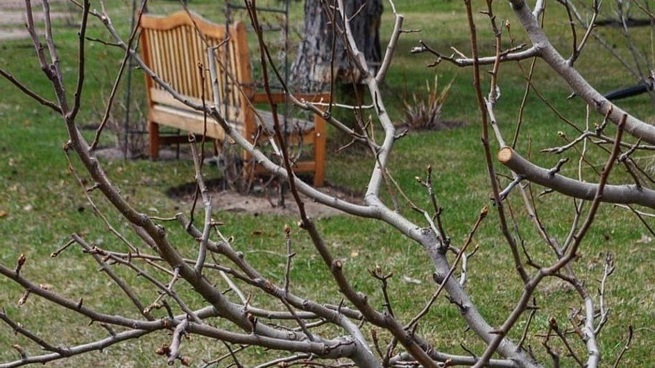 ��� ����������� �������� ������� � ���������� � ����: �������� ������