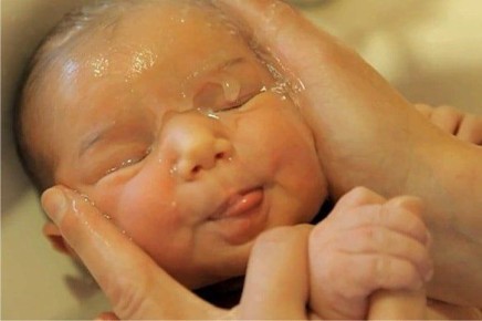 ������ ������� ��������������: �������� ������� � ������ ������