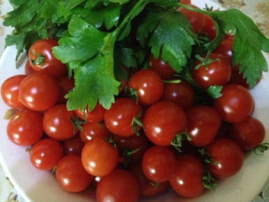 Тайны городских огородов: как вырастить овощи на балконе