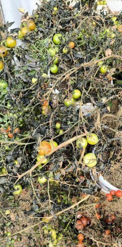 ������ � ������: ��� ���� ���������� ������