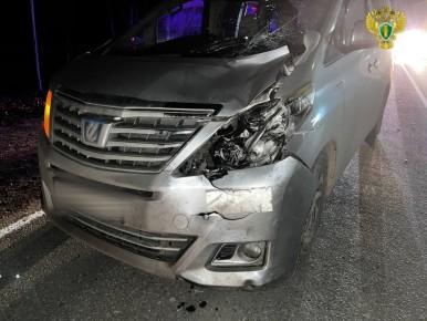 Прокуратура Чувашии направила в суд уголовное дело по факту смертельного наезда на пешехода