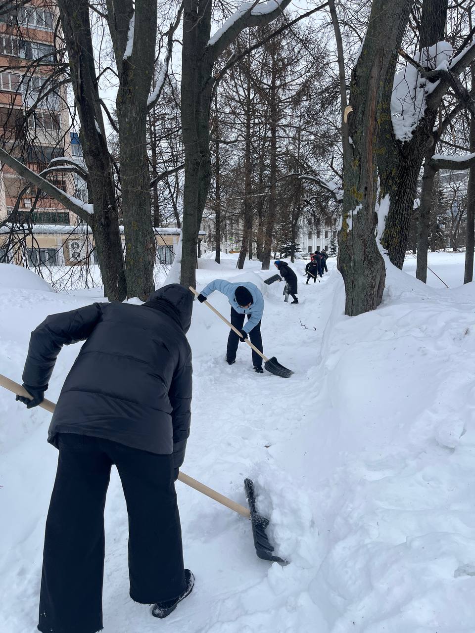 Сегодня с самого утра сотрудники прокуратуры Чувашии одни из первых присоединились к общереспубликанскому сугробнику субботнику Сегодня с самого утра сотрудники прокуратуры Чувашии одни из первых присоединились к общереспубликанскому сугробнику субботнику