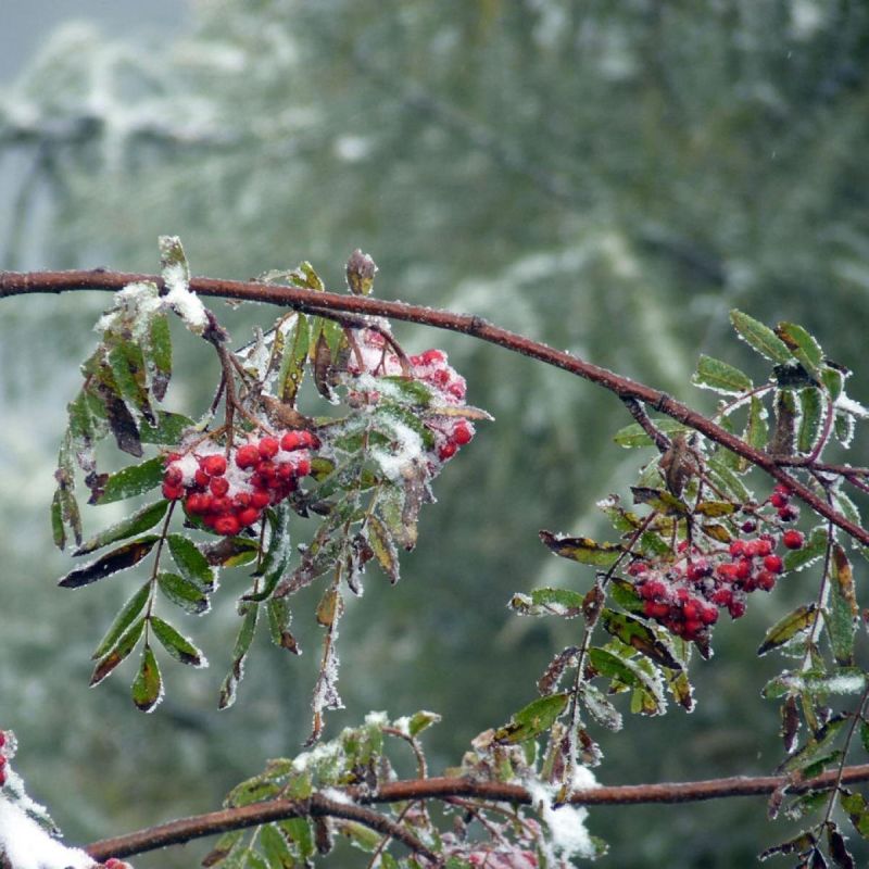 ����: ����������� �������� �������� �����