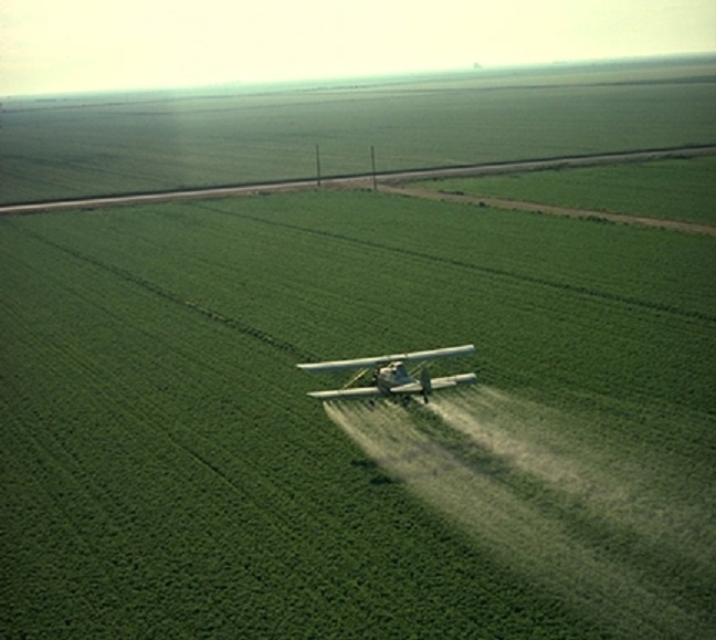 ГМО: Решение для голодающих и аллергиков