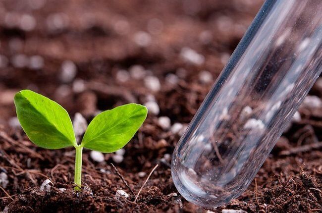 ��� �� ����� ������������ ��� ��������� �������: 5 ������� �������