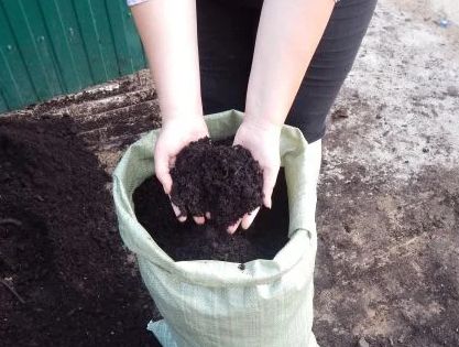 ���� ����� ��� �������: ������� ��������� ����� � �������� ��������