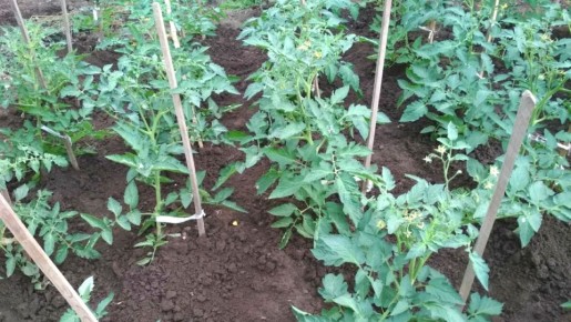 ��� ���� ��� ������� ������ � ����������� ������� � ������� �� ���������