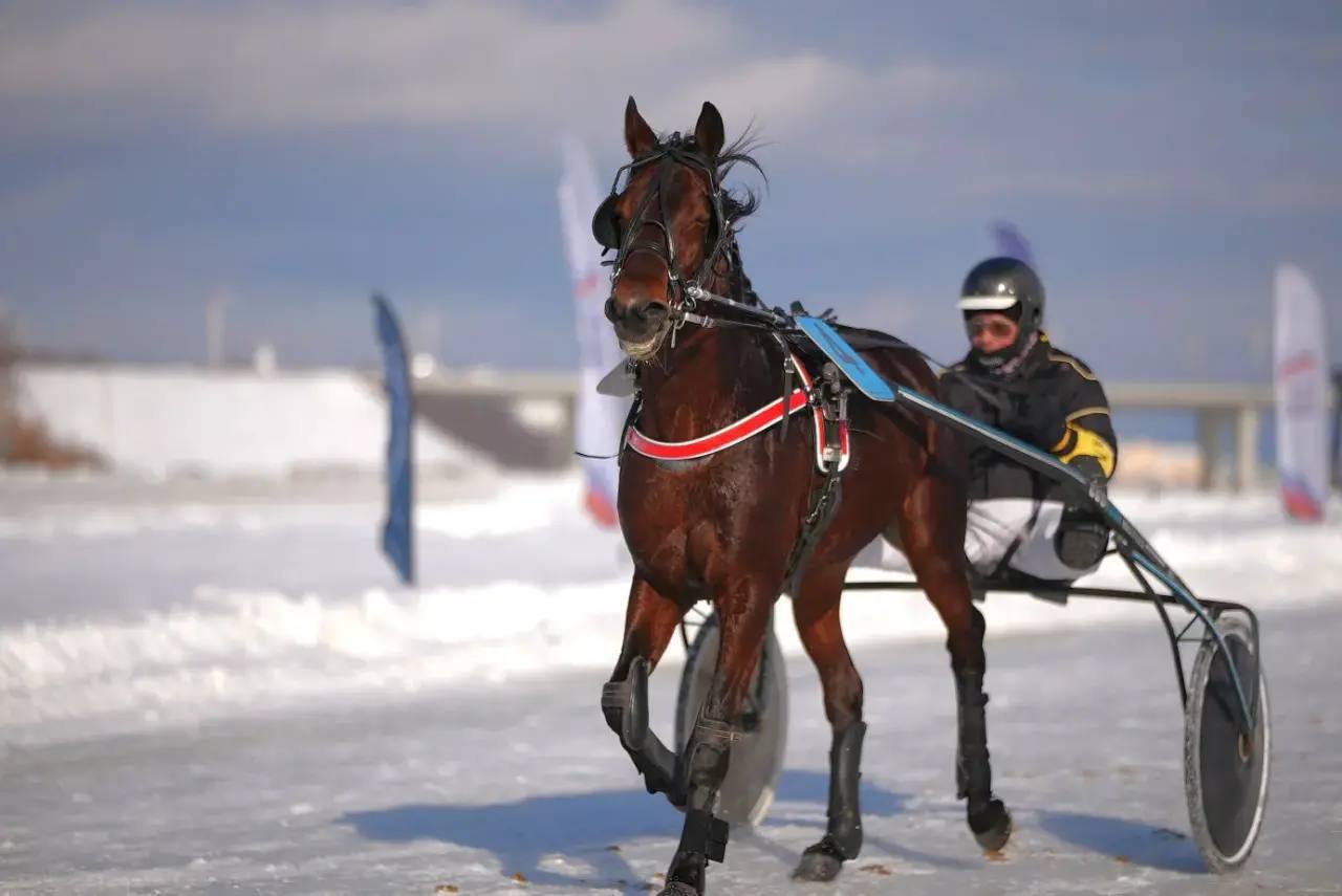 Конные бега состоялись на Чебоксарском заливе Конные бега состоялись на Чебоксарском заливе
