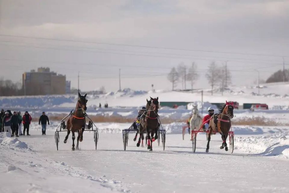 ������ ���� ���������� �� ������������ ������