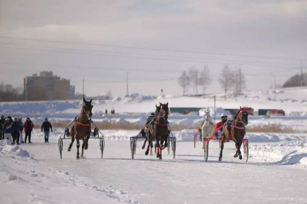 ������ ���� ���������� �� ������������ ������