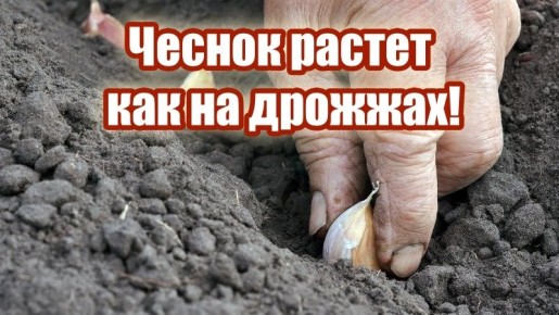 ������ �� �����������: ��� �������� ������ �� 40%