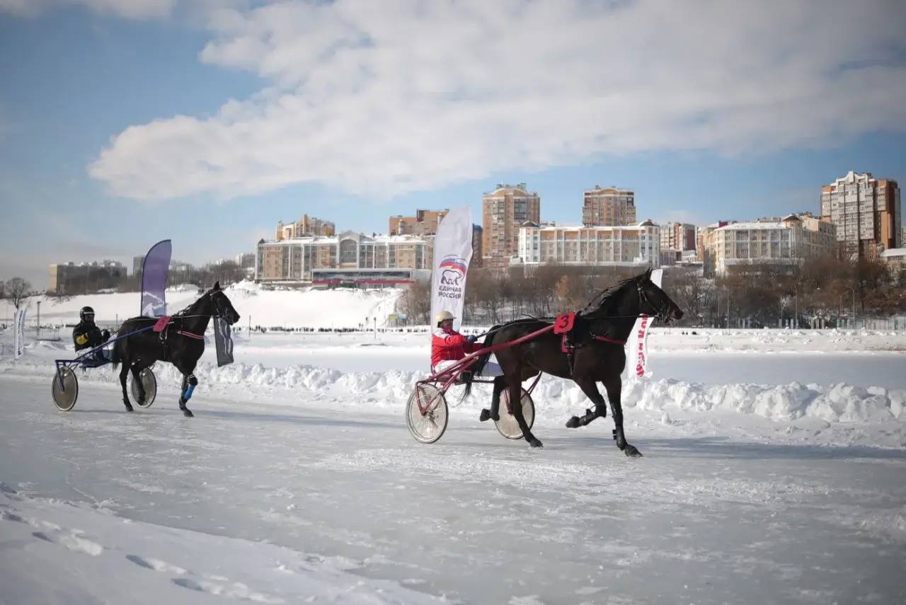 Конные бега состоялись на Чебоксарском заливе Конные бега состоялись на Чебоксарском заливе